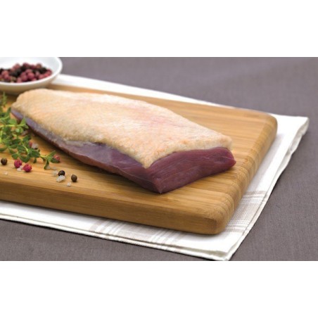 Magret de canard