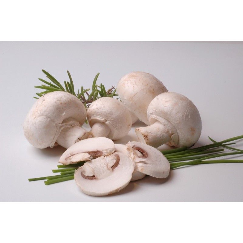 Champignons de Paris surgelés