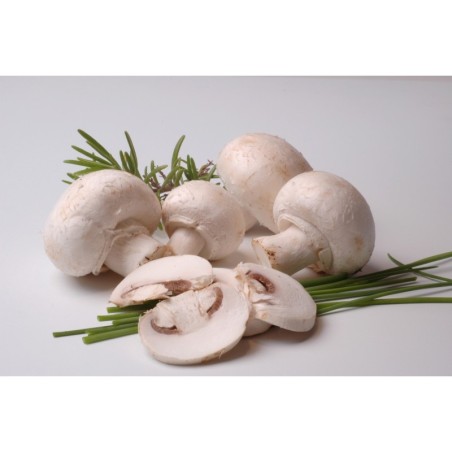 Champignons de Paris surgelés