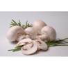 Champignons de Paris surgelés