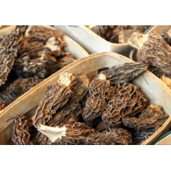 Morilles séchées / Morcheln