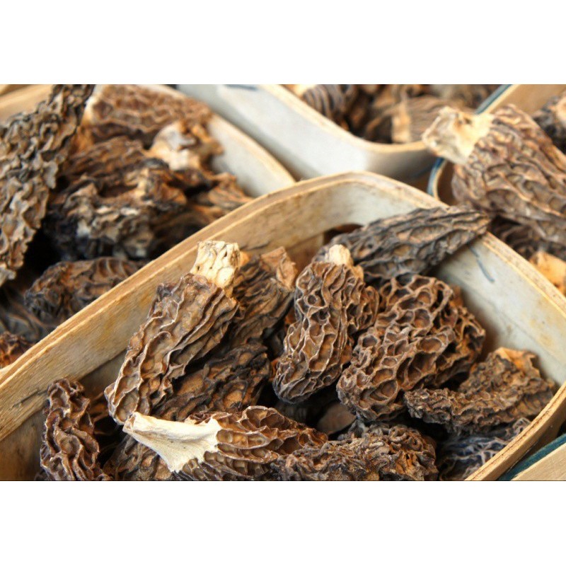 Morilles séchées / Morcheln