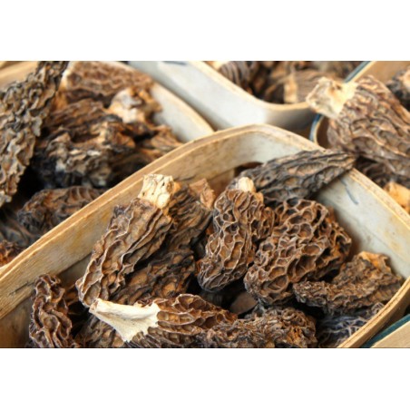 Morilles séchées / Morcheln