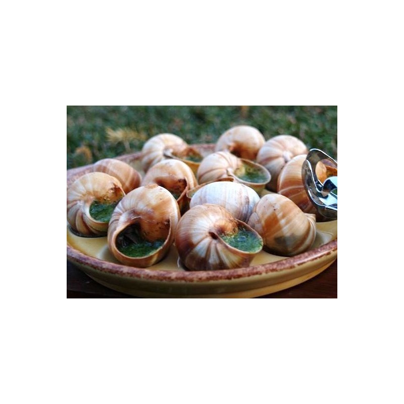 Escargots d'Alsace surgelés