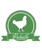 Volaille