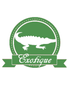 Exotique